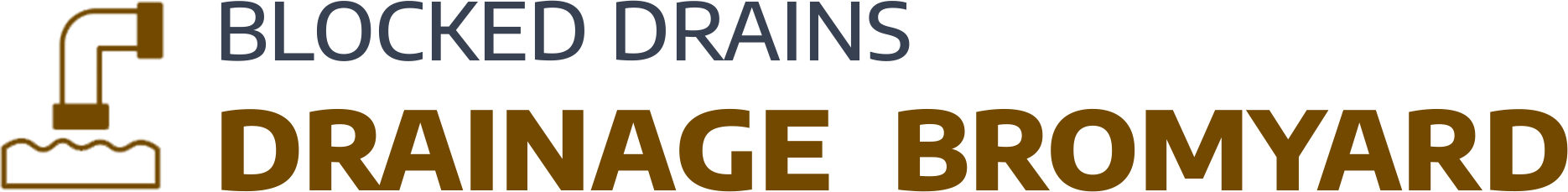 website logo